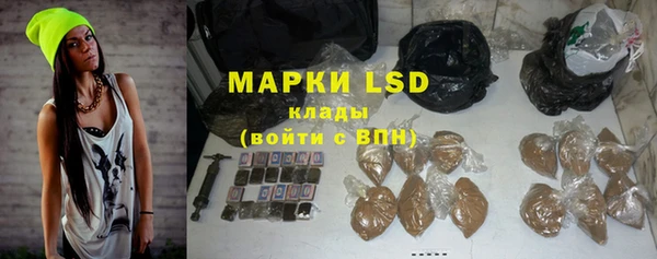 мдпв Елабуга