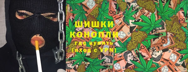 шишки Ельня