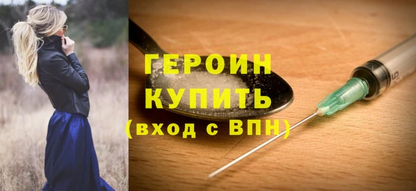 шишки Ельня