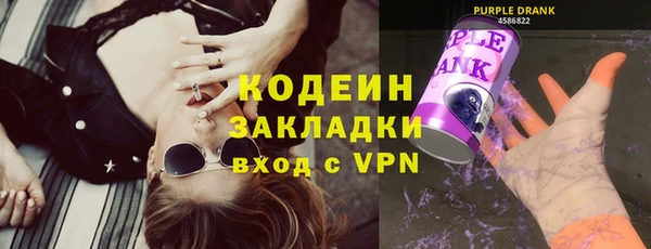мдпв Елабуга