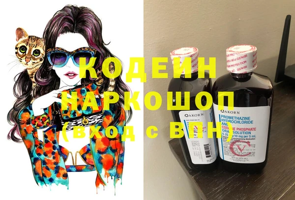 крисы Елизово