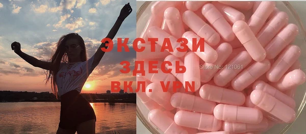 мдпв Елабуга