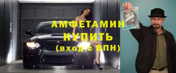 шишки Ельня