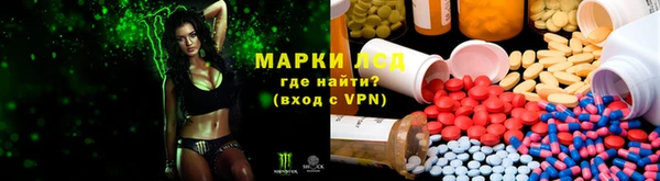 мдпв Елабуга