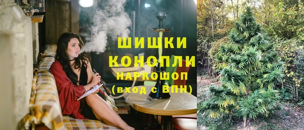 мдпв Елабуга