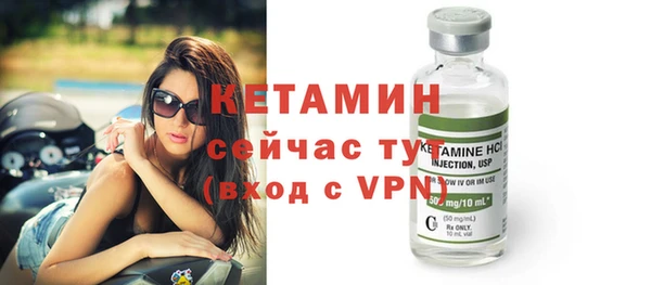 шишки Ельня