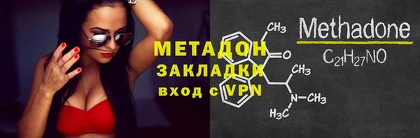 шишки Ельня