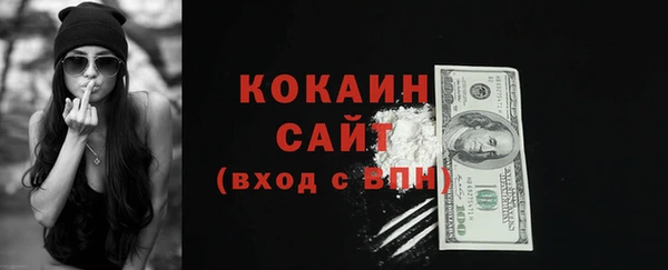 шишки Ельня