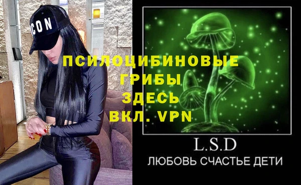 крисы Елизово