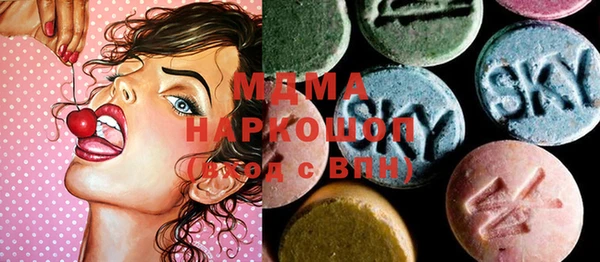 шишки Ельня