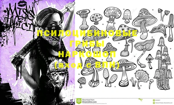 крисы Елизово