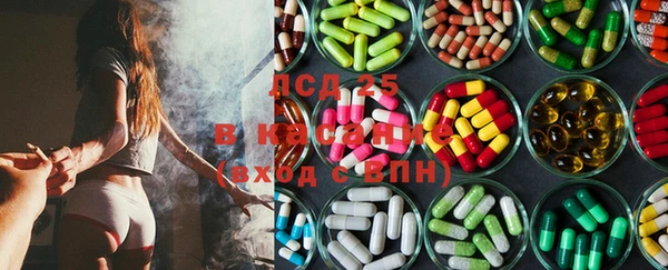 шишки Ельня