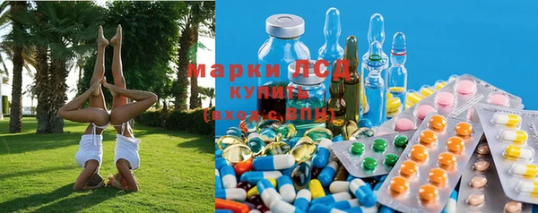 шишки Ельня