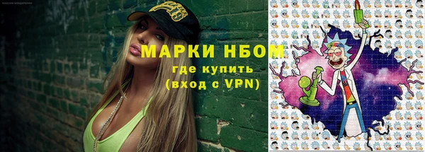 шишки Ельня