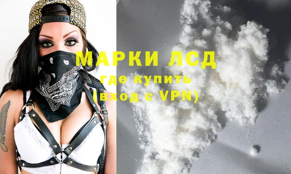 шишки Ельня