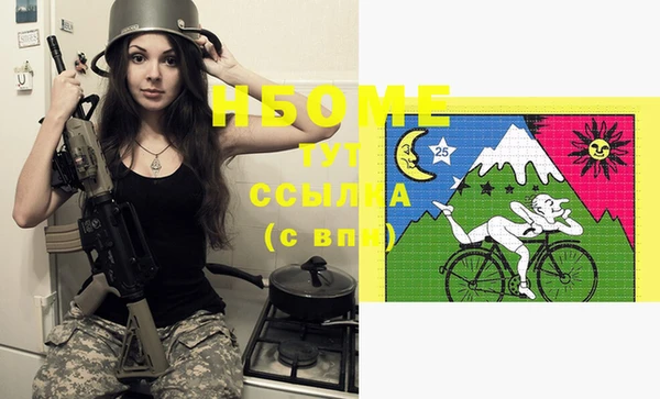 мдпв Елабуга