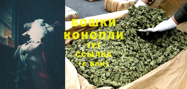 шишки Ельня