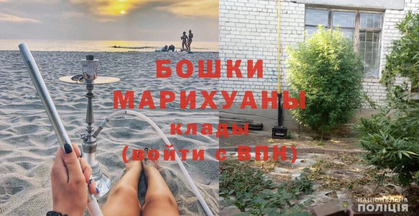 шишки Ельня