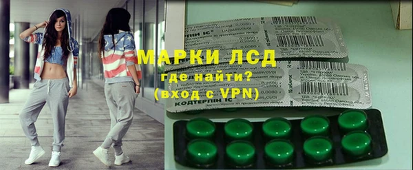 мдпв Елабуга