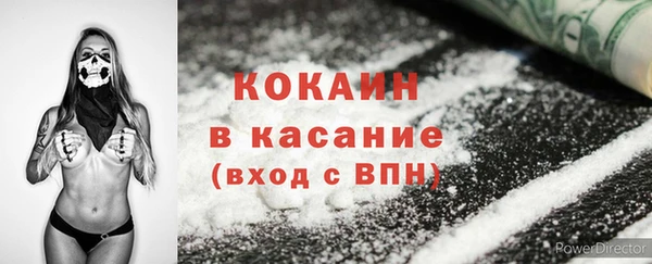 шишки Ельня