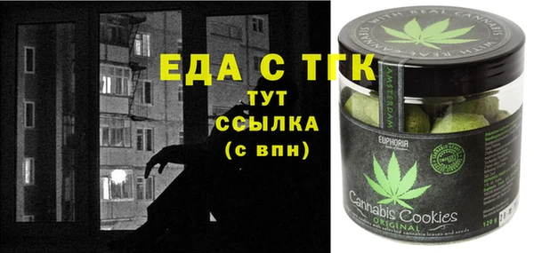 шишки Ельня