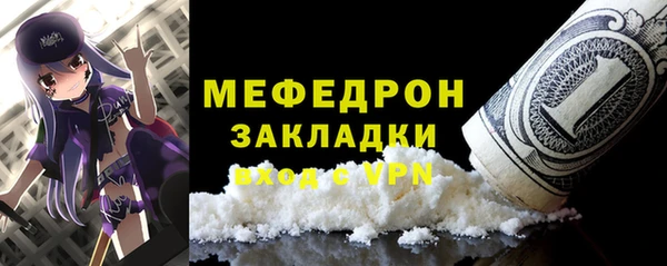 шишки Ельня