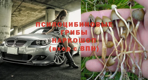 мдпв Елабуга