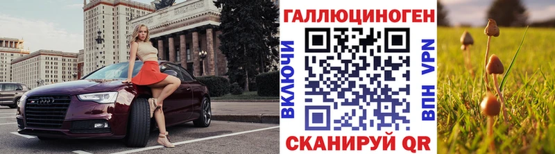mega рабочий сайт  Ершов  Псилоцибиновые грибы прущие грибы 